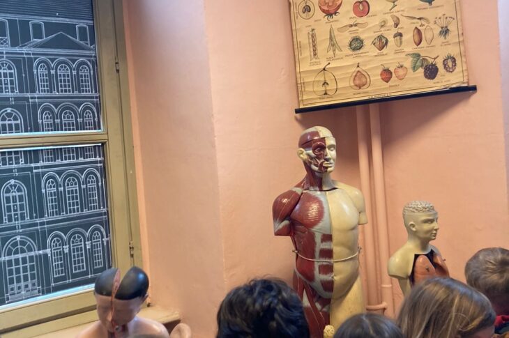 museo_2023 b